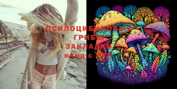 метамфетамин Богданович