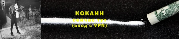сатива Богородицк