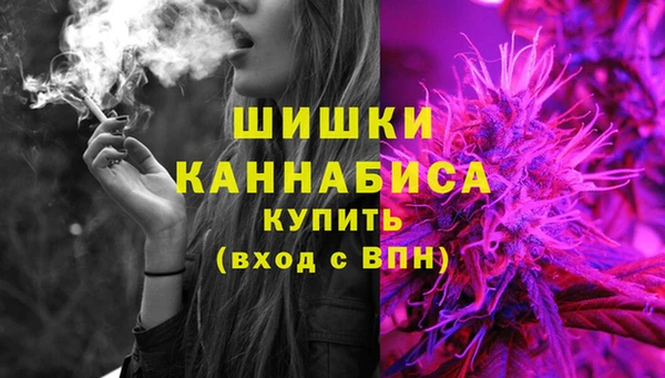 сатива Богородицк
