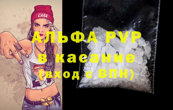 сатива Богородицк