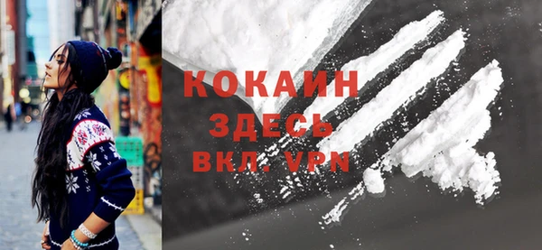 шишки Белокуриха