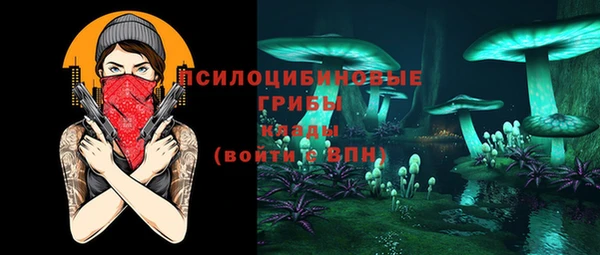 сатива Богородицк