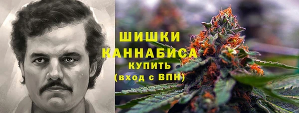 крисы Богородск