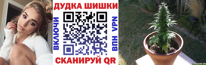 mega tor  Кирово-Чепецк  Шишки марихуана конопля 
